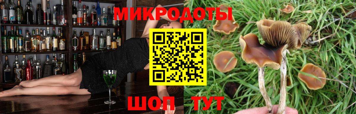 Звенигород  Псилоцибиновые грибы Cubensis  Вход с VPN 