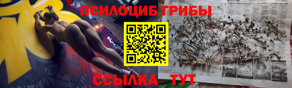 КОКАИН  Звенигород  Продажа наркотиков  МЕФ   APVP СОЛЬ кристаллы  ГАШИШ  Вход с VPN  Канабис 